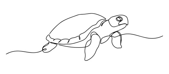 sea turtle vector monoline one line line art ocean animal
