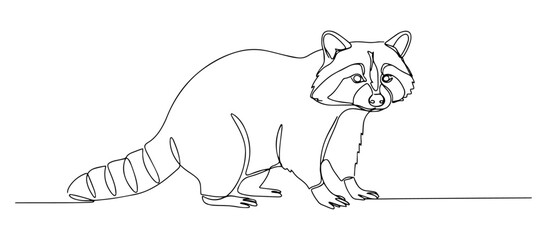 raccoon vector monoline one line line art wild animal