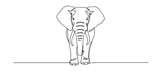 elephant front view line art vector monoline style