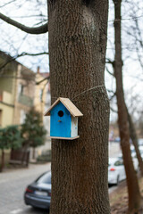 Wooden Birdhouse Hanging Among Forest Trees