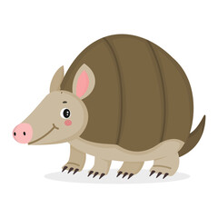 Armadillo vector illustration isolated on white background
