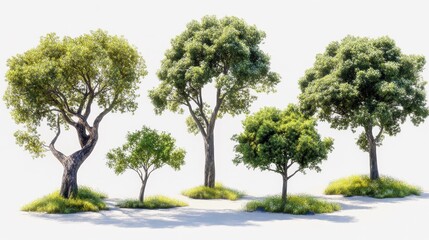 Fototapeta premium Variety of green trees in a sunny meadow against clear sky
