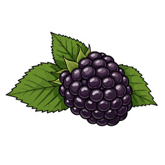 Obraz premium blackberry with leaves