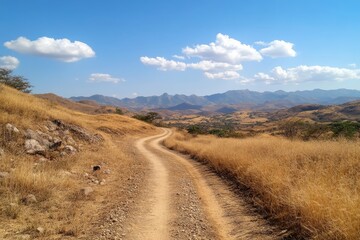 Fototapeta premium Scenic rural dirt road winding through golden fields beneath a brilliant blue sky