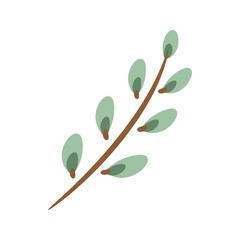 Willow burgeon isolated on white background. Minimalist vector icon of a pussy willow branch with cute buds. Willow tree sprig in simple flat style