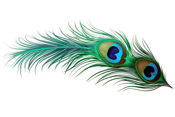 Obraz premium majestic peacock feather on transparent background