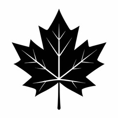 Obraz premium Autumn maple leaf vector illustration with nature-inspired design and decorative floral elements