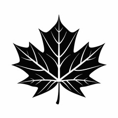 Obraz premium Autumn maple leaf vector illustration with nature-inspired design and decorative floral elements