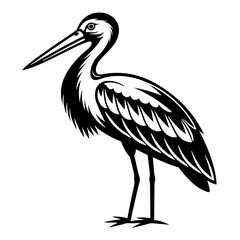 Fototapeta premium A heron standing on the beach with a black background, showcasing its grey feathers and long beak, representing wildlife and nature in Florida