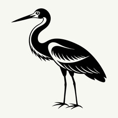 Obraz premium A heron standing on the beach with a black background, showcasing its grey feathers and long beak, representing wildlife and nature in Florida
