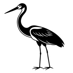 Naklejka premium A heron standing on the beach with a black background, showcasing its grey feathers and long beak, representing wildlife and nature in Florida