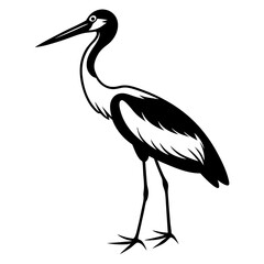 Naklejka premium A heron standing on the beach with a black background, showcasing its grey feathers and long beak, representing wildlife and nature in Florida