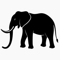 Fototapeta premium Gray elephant walking isolated on white background illustration