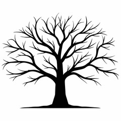 Obraz premium Black tree silhouette with roots and branches representing nature and all seasons