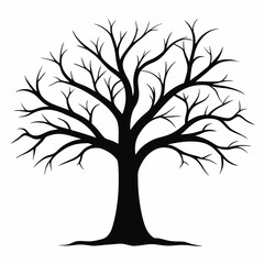 Obraz premium Black tree silhouette with roots and branches representing nature and all seasons
