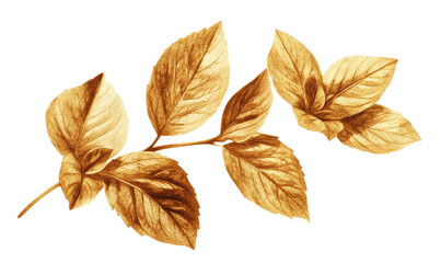  olden fresh mint leaves on transparent background