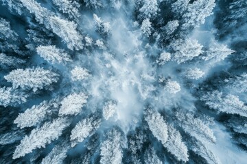 Fototapeta premium Aerial view of autumn forest with vibrant foliage. AI generative