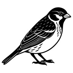 Hollow Sparrow silhouette vector illustration