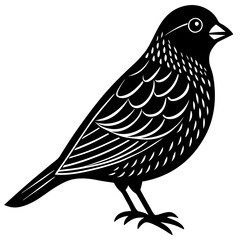 sketch of a bird
