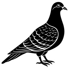 Passenger Pigeon silhouette vector illustration