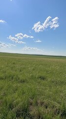 Fototapeta premium Emerald Waves of Spring, Green meadows