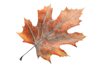 Autumn maple leaf with metallic texture isolated on white background. Futuristic fusion of nature and technology, ideal for AI concepts, eco-friendly innovation, digital art, and sustainability themes
