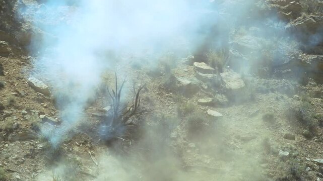 Tannerite Exploding Under Dead tree