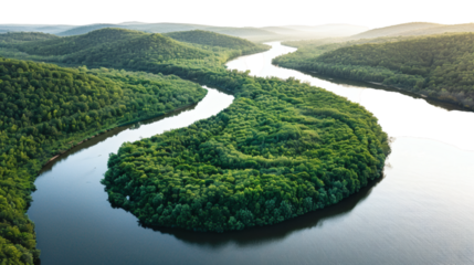 Scenic river surrounded by forest isolated on a white background natural