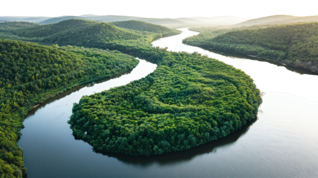 Scenic river surrounded by forest isolated on a white background natural
