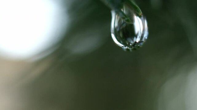 water droplets macro