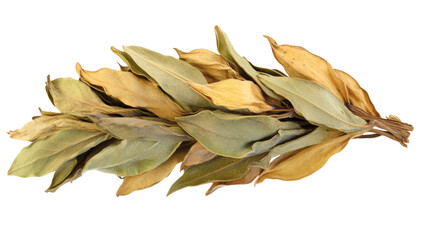 Dried bay leaves isolated on white background