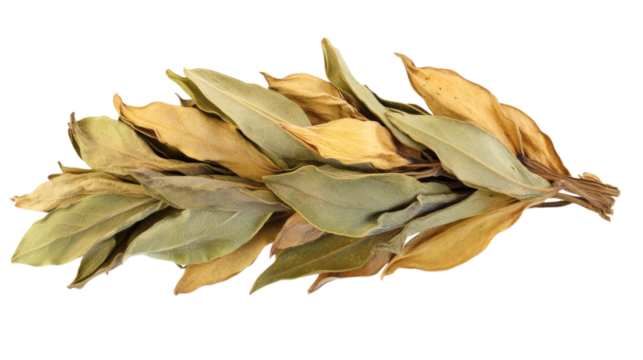 Dried bay leaves isolated on white background