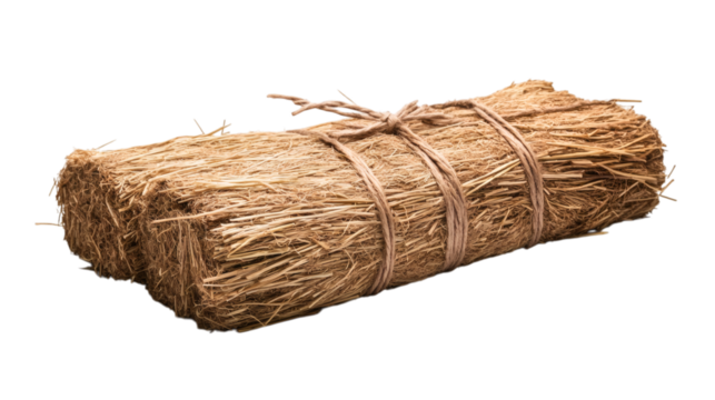 dry hay bale with natural texture and tied bundles isolated on white background