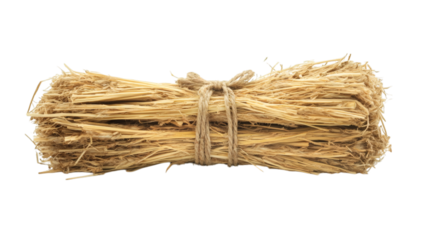 dry hay bale with natural texture and tied bundles isolated on white background