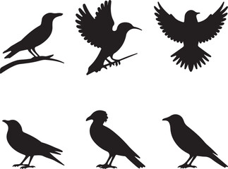 birds silhouettes set vector art