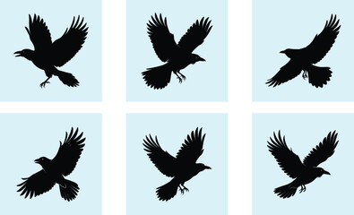 Obraz premium Flying Crow Silhouette vector