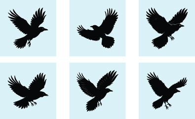 Obraz premium Flying Crow Silhouette vector