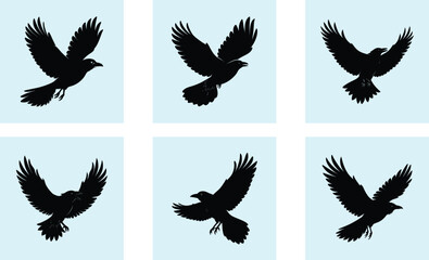 Fototapeta premium Flying Crow Silhouette vector