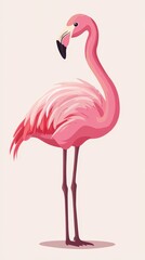 Fototapeta premium A simple flat illustration of a pink flamingo standing gracefully against a light background