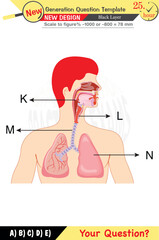 Fototapeta premium Physics, Physical concepts, High school, middle school, exam question template, numerical lessons, verbal lessons, Next generation problems, for teachers, editable, black layer, eps