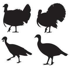 Turkey Silhouette Set on White Background Farm Animal Collection