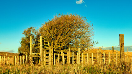 Fototapeta premium Old Stock Loading Ramp