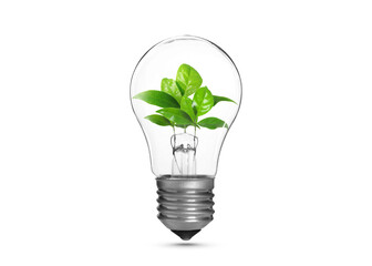 Light bulb with fresh leaves inside in air on white background. Concepts of eco-friendly...