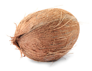 One whole coconut in shell isolated on white