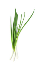 Fresh green onions isolated on white, top view