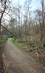 Fototapeta premium Queens Hill, Norwich, United Kingdom, March 15, 2025, Views from Queens Hill Forest