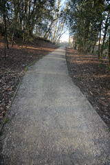 Fototapeta premium Queens Hill, Norwich, United Kingdom, March 15, 2025, Views from Queens Hill Forest
