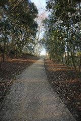 Queens Hill, Norwich, United Kingdom, March 15, 2025, Views from Queens Hill Forest