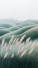 Fototapeta premium Whispering Grasses on the Hill, Windy days