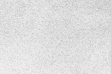 細かな石の粒が表面についている白い壁